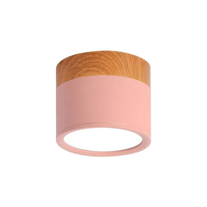 Nordic Cylinder LED Ceiling Lamps for Hallways