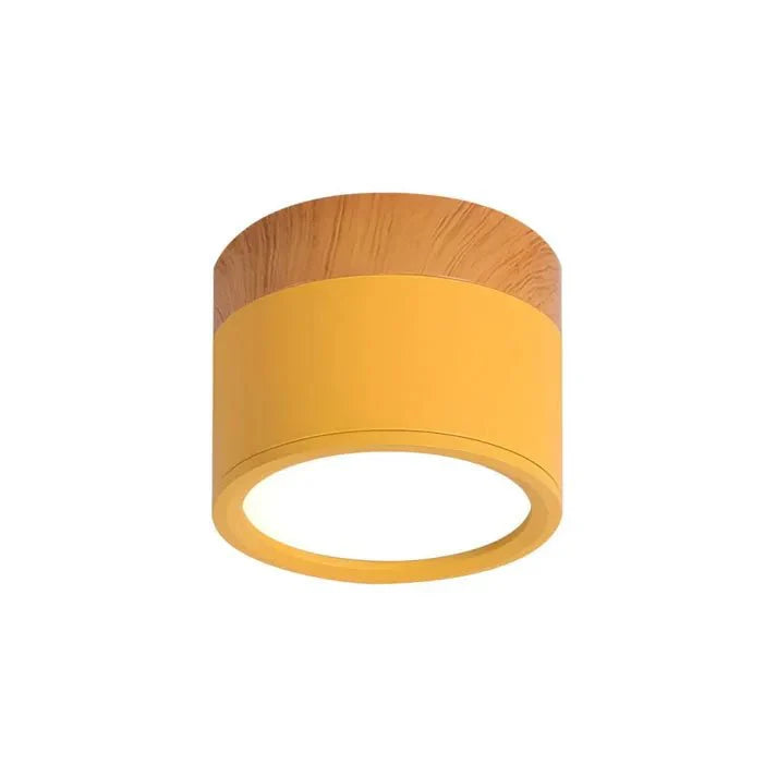 Nordic Cylinder LED Ceiling Lamps for Hallways