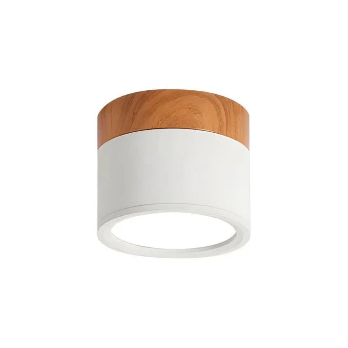 Nordic Cylinder LED Ceiling Lamps for Hallways
