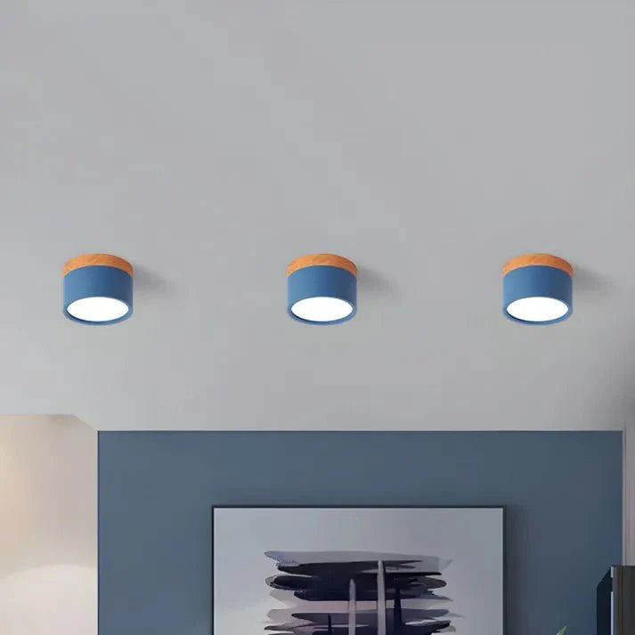 Nordic Cylinder LED Ceiling Lamps for Hallways
