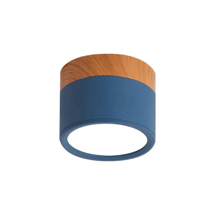Nordic Cylinder LED Ceiling Lamps for Hallways