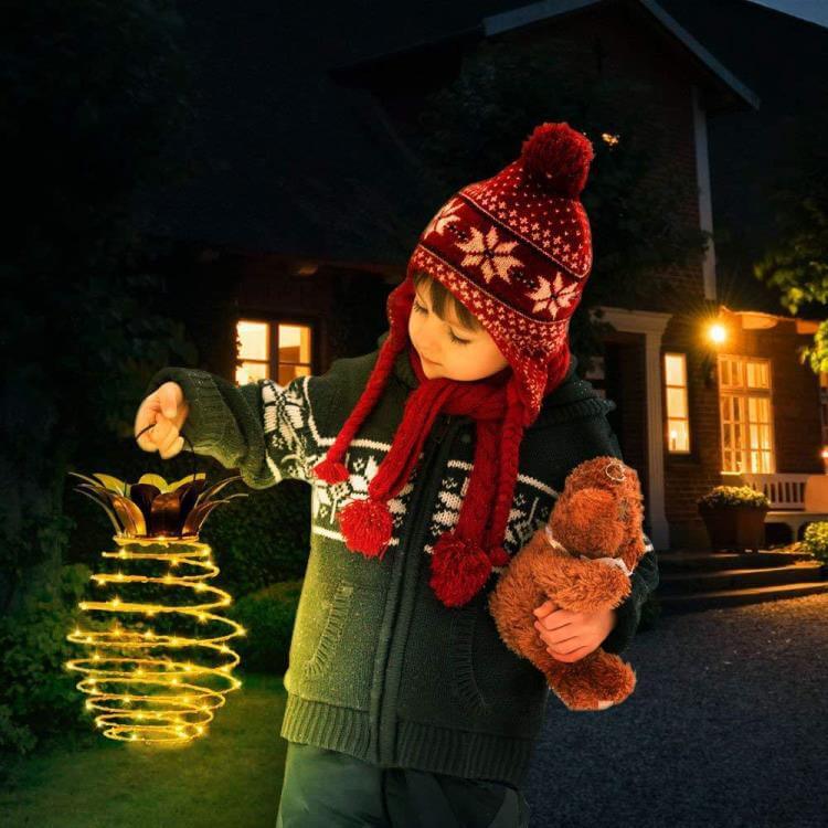 1 + 1 Free | Solar Garden Lamp