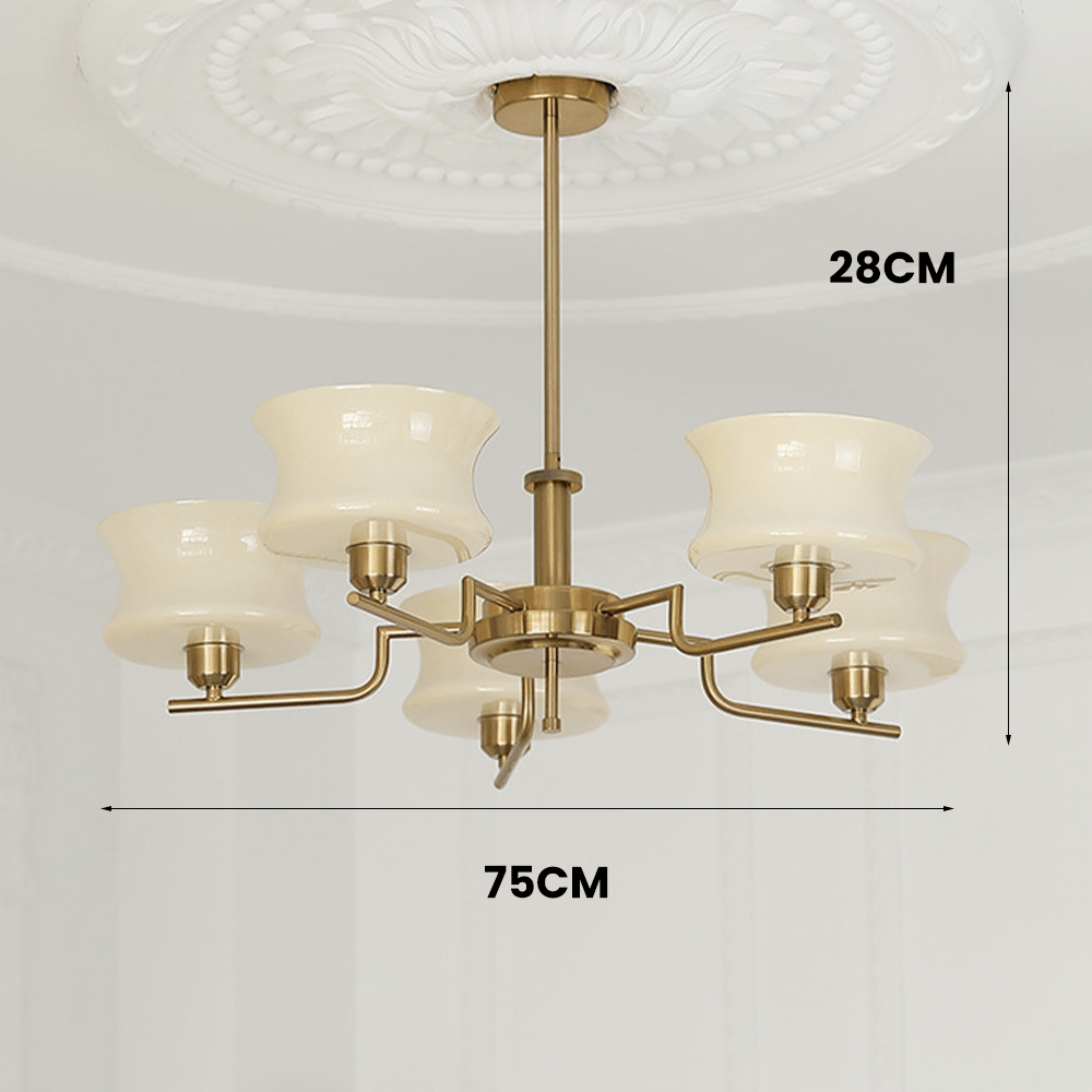 Beautiful chandelier for dining room