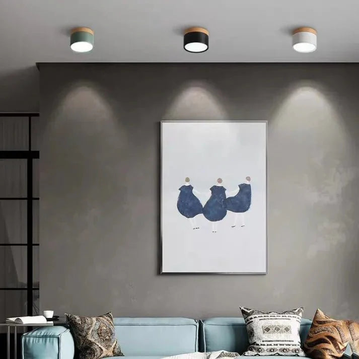 Nordic Cylinder LED Ceiling Lamps for Hallways
