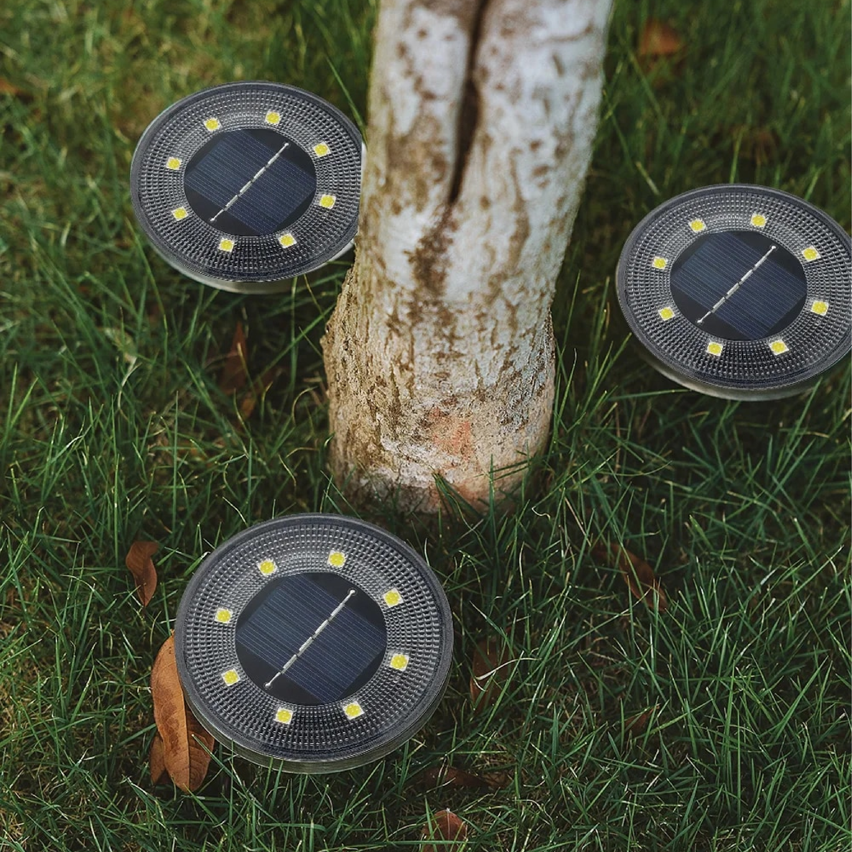 Sconeys™ | Waterproof Solar-Powered Lamps