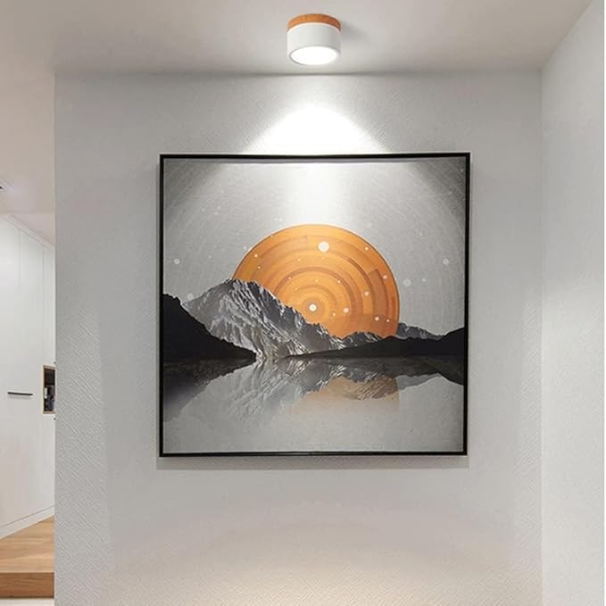 Nordic Cylinder LED Ceiling Lamps for Hallways