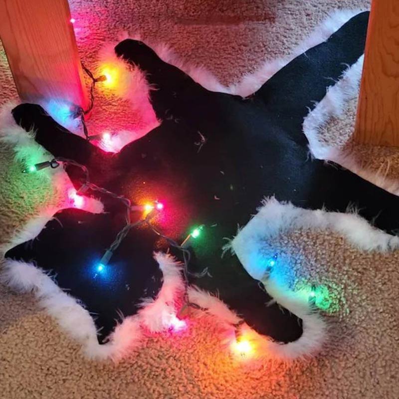 Holiday Cat Decorative Fur Trimmed Rug | Christmas Movie-Inspired Novelty Floor Decor with Optional Lights | Handmade Felt & Faux Fur Accent Rug