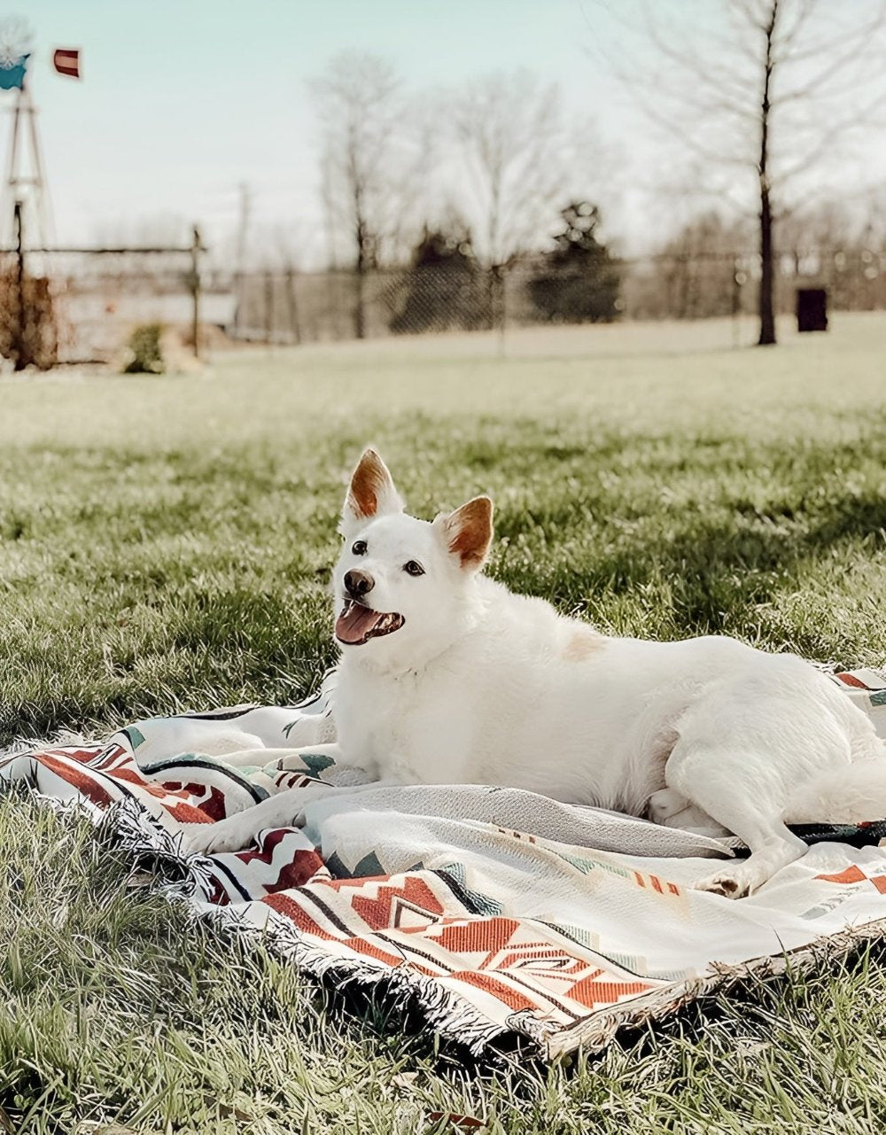 Boho Picnic Blanket Reversible | Jacquard Cotton Blend | Durable All-Season Outdoor Blanket | Camping Picnic Floor Mat