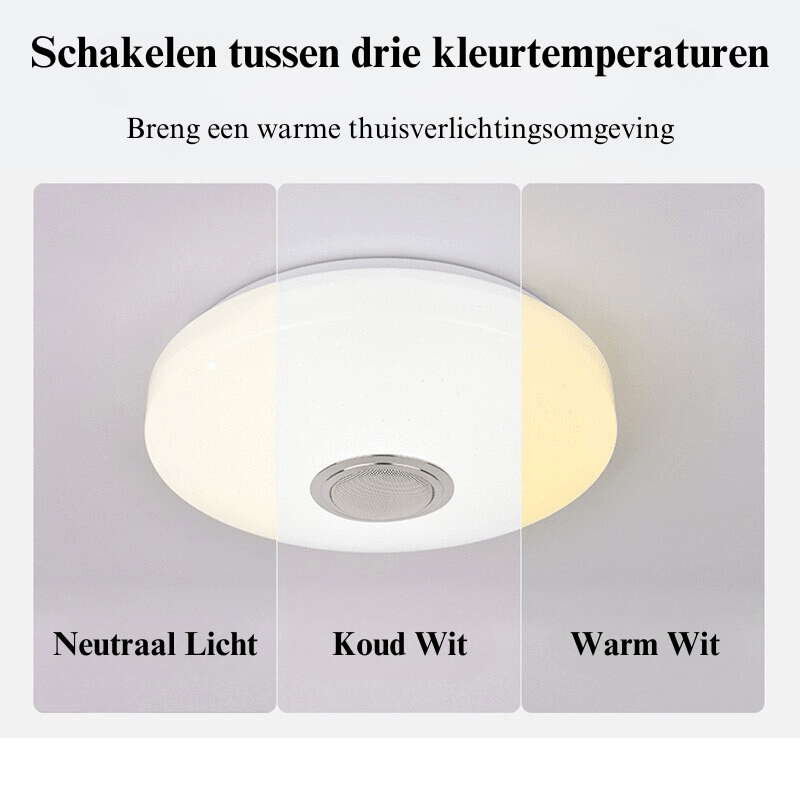 Ceiling Lamp with Speaker