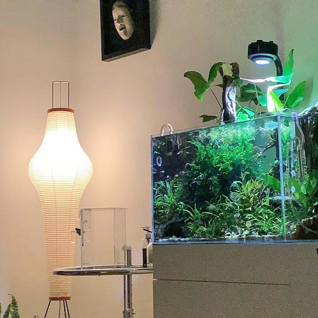 Rice Paper Floor Lamp