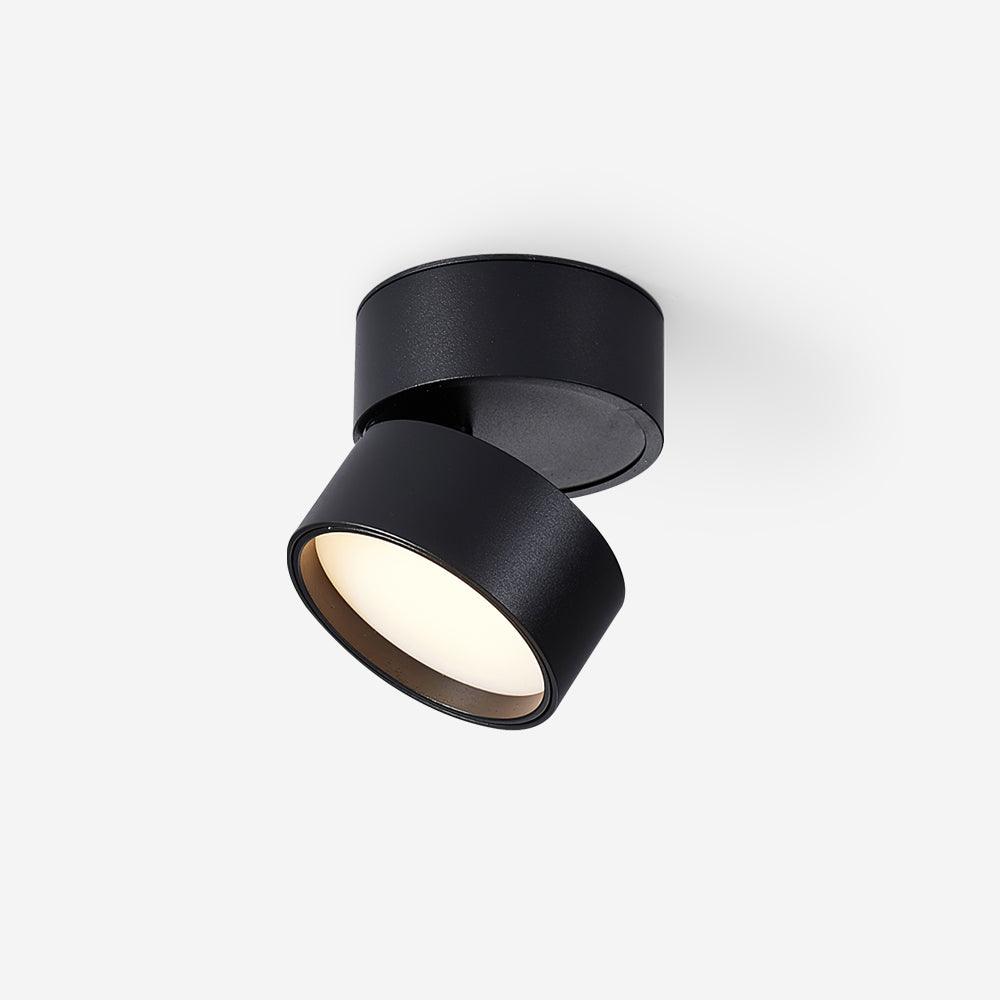 Adjustable LED Ceiling Spotlight Lamp for Artwork & Accent Lighting | Rotatable Surface Mount | Warm White 3000K | Aluminum 10cm