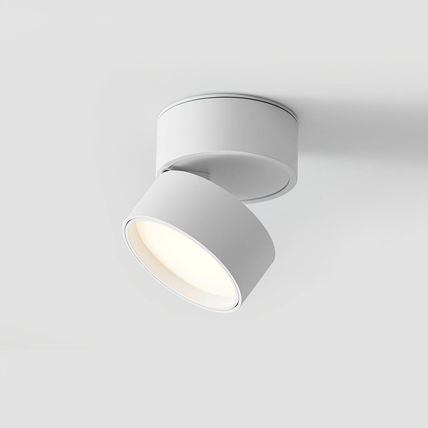 Adjustable LED Ceiling Spotlight Lamp for Artwork & Accent Lighting | Rotatable Surface Mount | Warm White 3000K | Aluminum 10cm