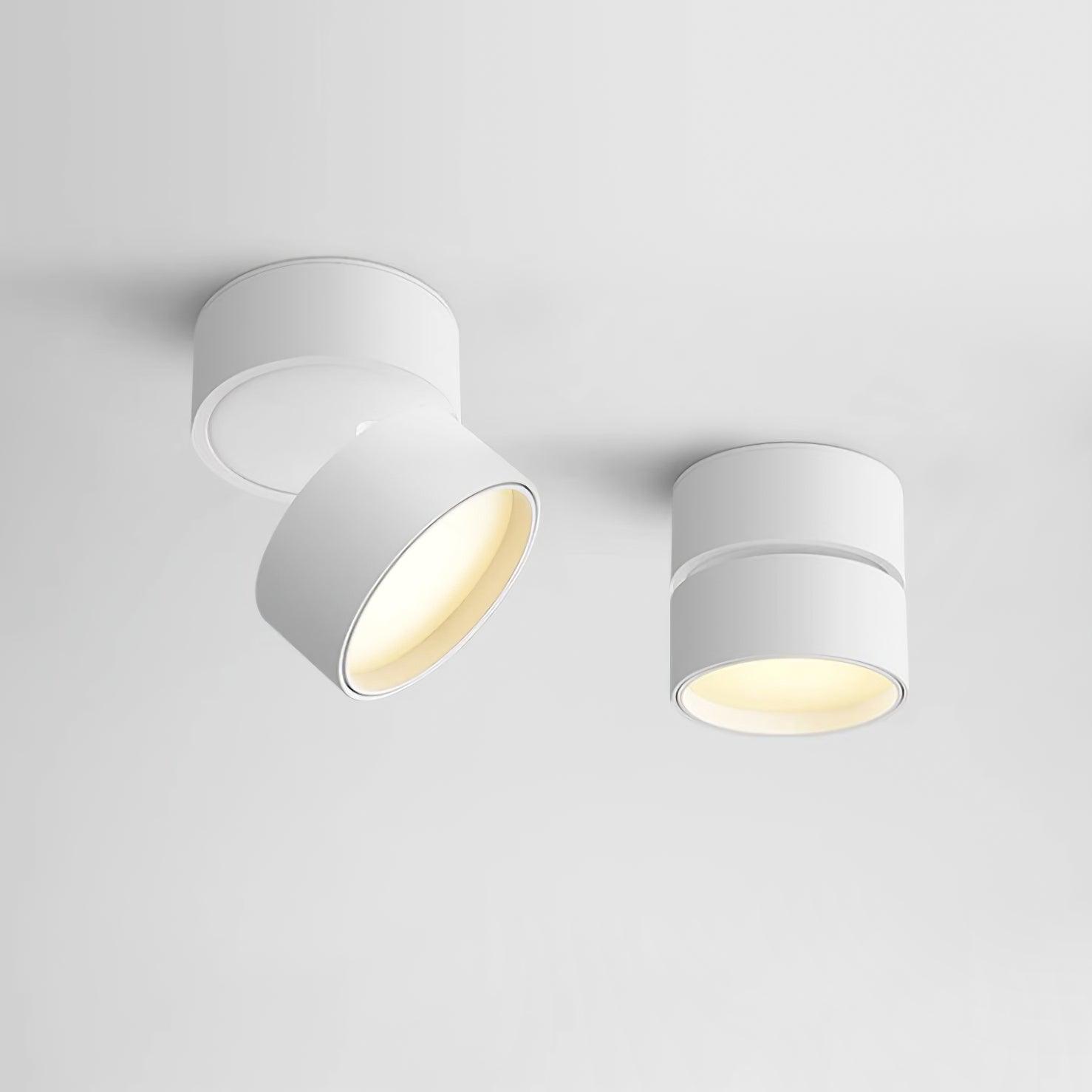 Adjustable LED Ceiling Spotlight Lamp for Artwork & Accent Lighting | Rotatable Surface Mount | Warm White 3000K | Aluminum 10cm