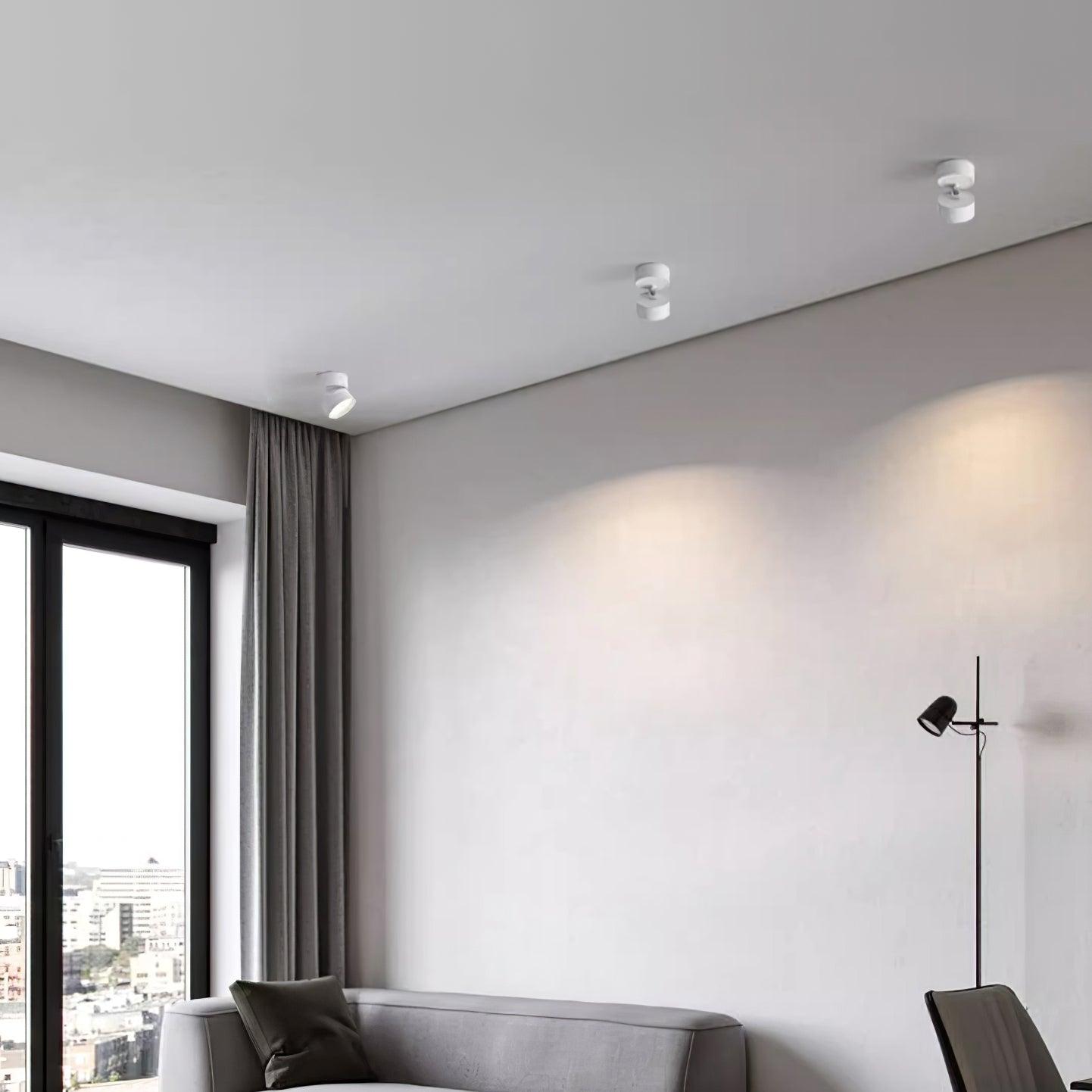 Adjustable LED Ceiling Spotlight Lamp for Artwork & Accent Lighting | Rotatable Surface Mount | Warm White 3000K | Aluminum 10cm