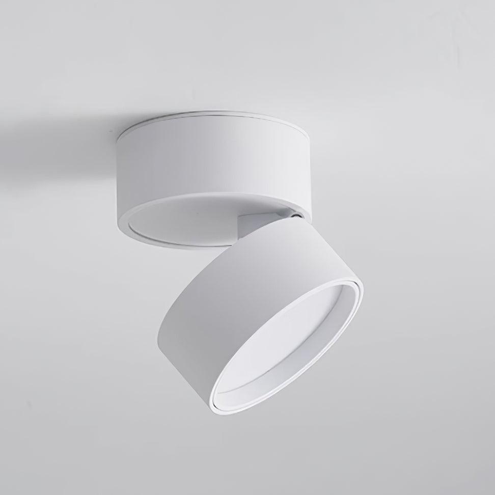Adjustable LED Ceiling Spotlight Lamp for Artwork & Accent Lighting | Rotatable Surface Mount | Warm White 3000K | Aluminum 10cm
