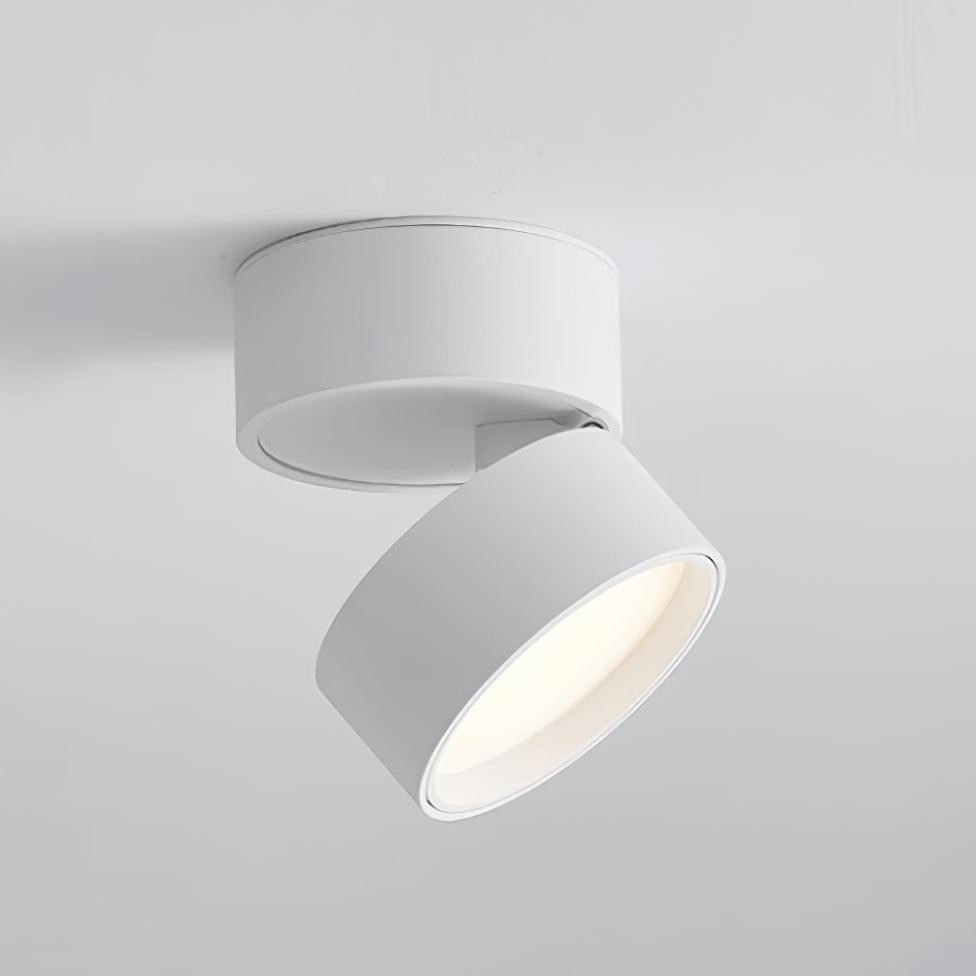 Adjustable LED Ceiling Spotlight Lamp for Artwork & Accent Lighting | Rotatable Surface Mount | Warm White 3000K | Aluminum 10cm