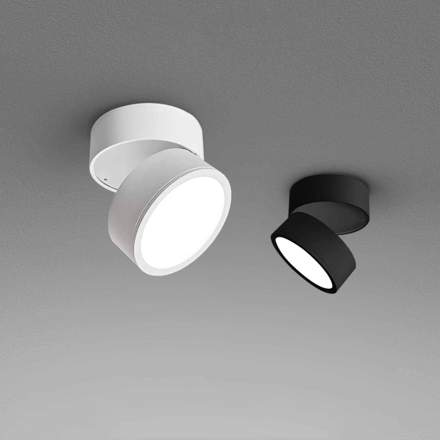 Adjustable LED Ceiling Spotlight Lamp for Artwork & Accent Lighting | Rotatable Surface Mount | Warm White 3000K | Aluminum 10cm
