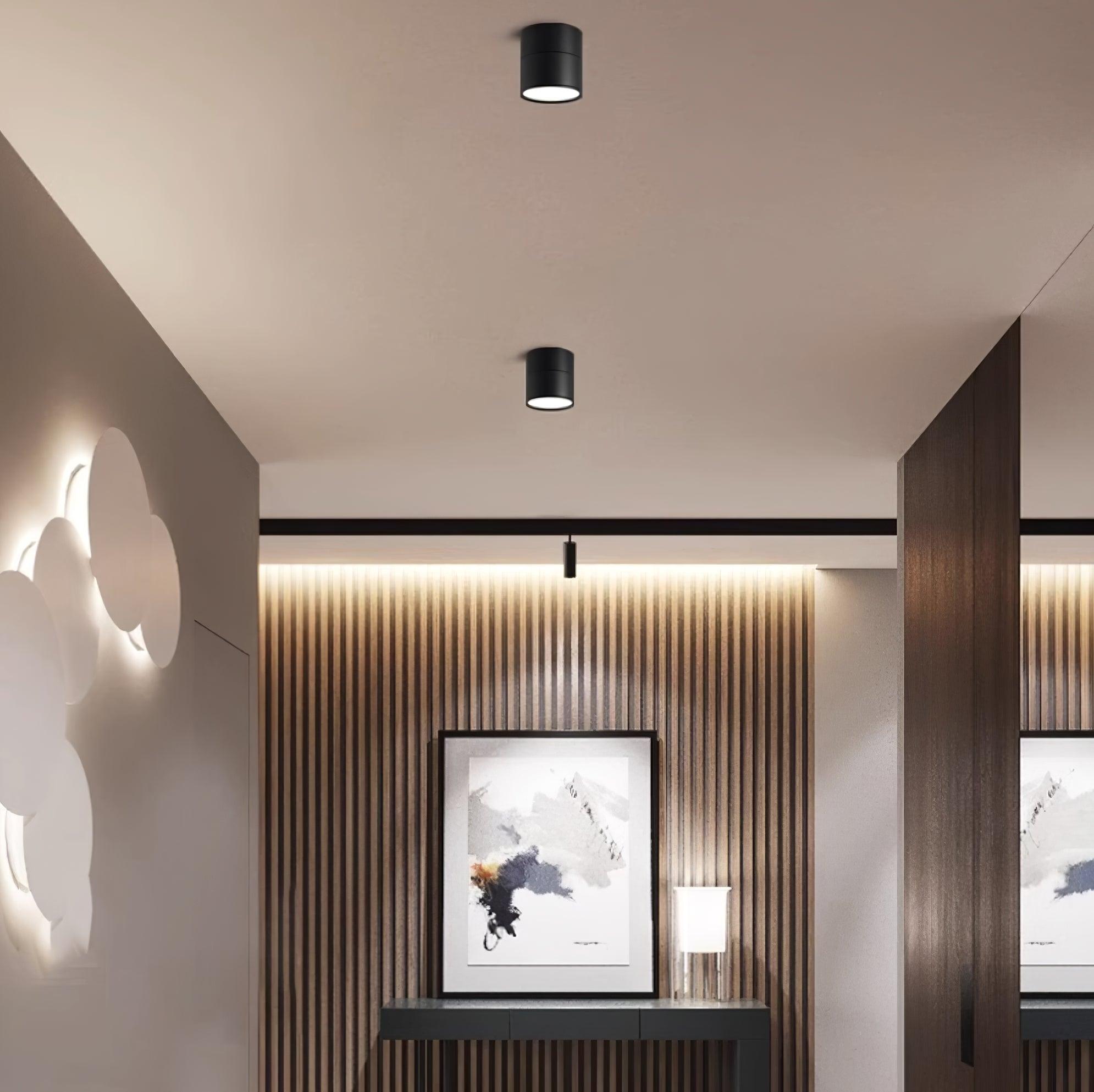 Adjustable LED Ceiling Spotlight Lamp for Artwork & Accent Lighting | Rotatable Surface Mount | Warm White 3000K | Aluminum 10cm