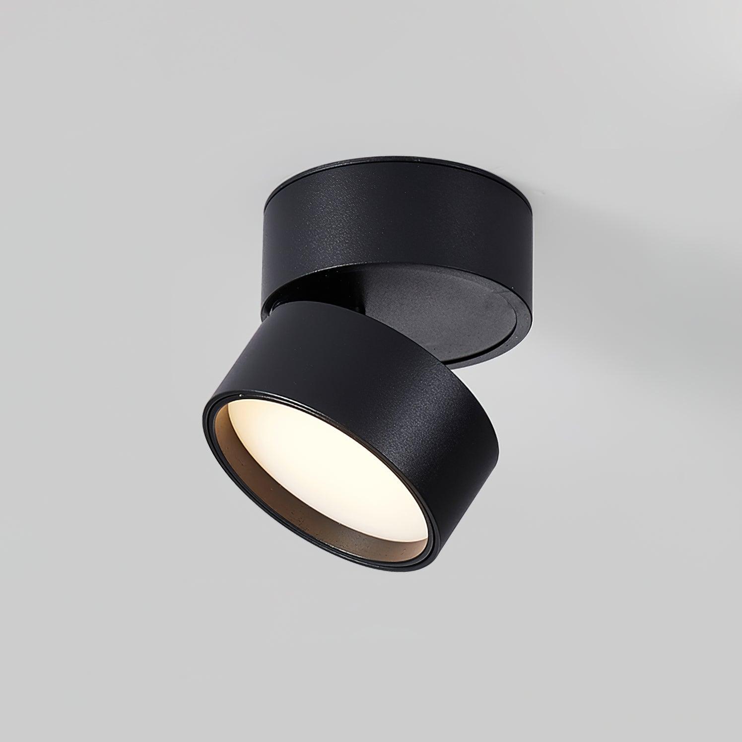 Adjustable LED Ceiling Spotlight Lamp for Artwork & Accent Lighting | Rotatable Surface Mount | Warm White 3000K | Aluminum 10cm
