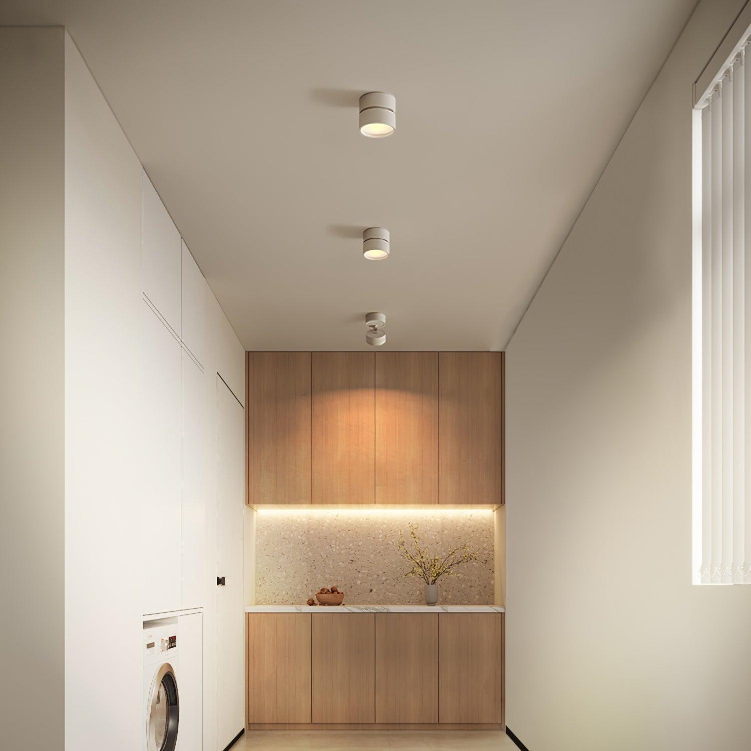 Adjustable LED Ceiling Spotlight Lamp for Artwork & Accent Lighting | Rotatable Surface Mount | Warm White 3000K | Aluminum 10cm