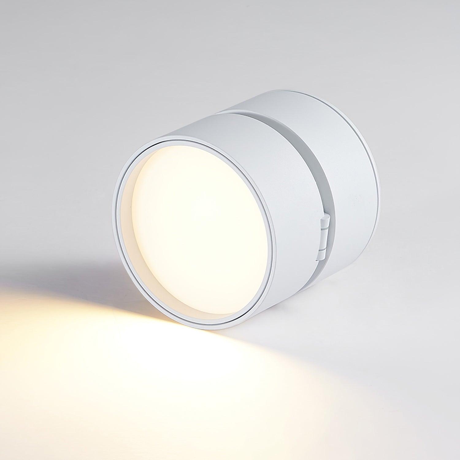 Adjustable LED Ceiling Spotlight Lamp for Artwork & Accent Lighting | Rotatable Surface Mount | Warm White 3000K | Aluminum 10cm