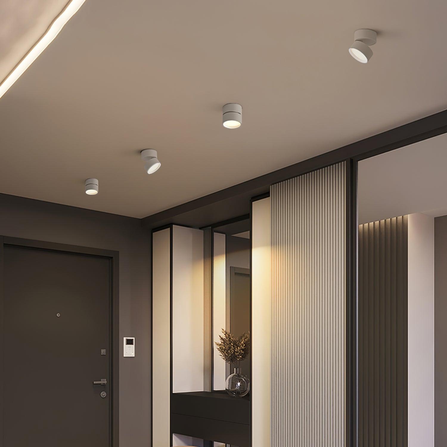 Adjustable LED Ceiling Spotlight Lamp for Artwork & Accent Lighting | Rotatable Surface Mount | Warm White 3000K | Aluminum 10cm