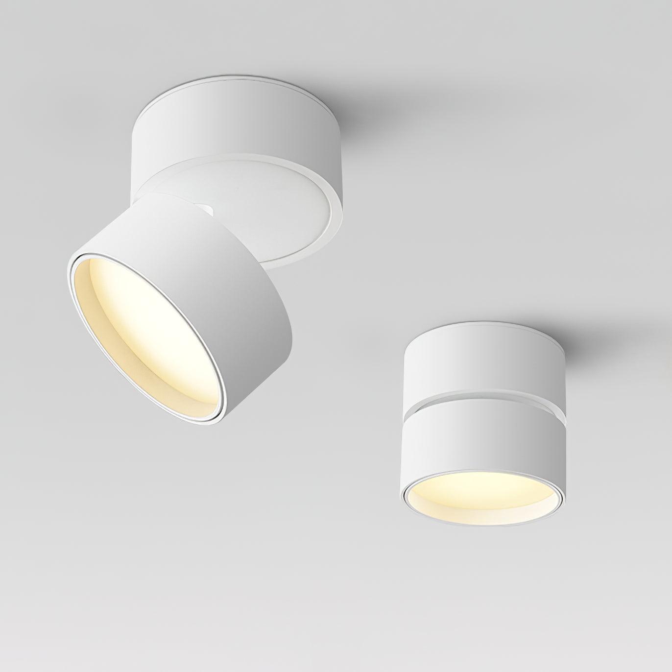 Adjustable LED Ceiling Spotlight Lamp for Artwork & Accent Lighting | Rotatable Surface Mount | Warm White 3000K | Aluminum 10cm