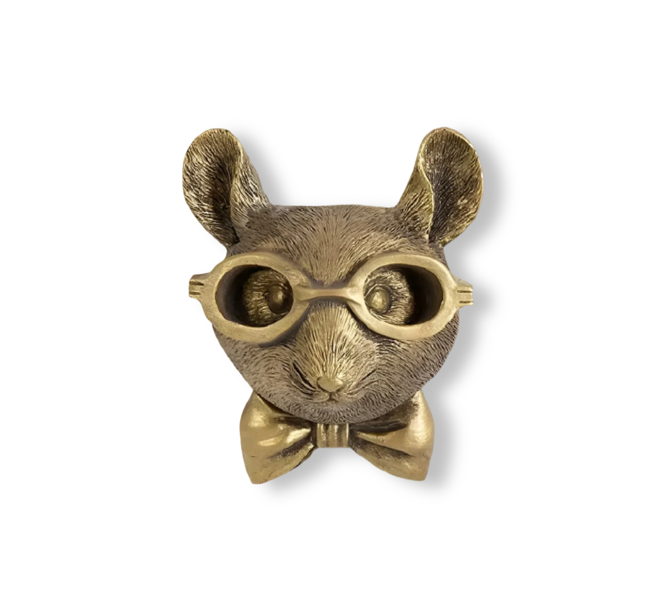 Golden Head | Multifunctional Wall Hook – Decorative Wall Storage