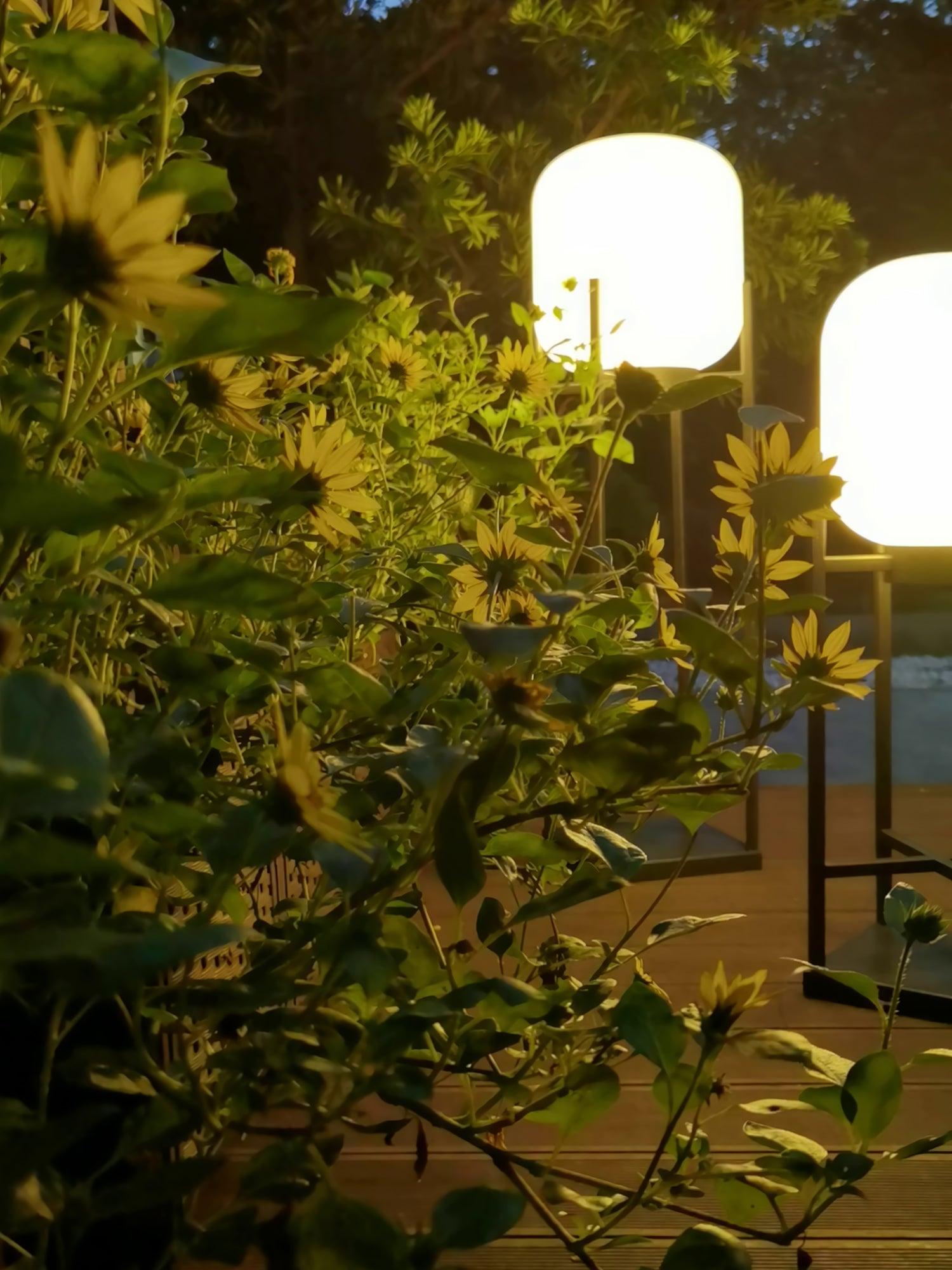 Solar Outdoor Floor Lamp LED Garden Lighting | Stainless Steel & Glass | IP65 Waterproof | 3000K–6000K Patio & Pathway Lamp