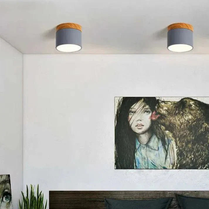 Nordic Cylinder LED Ceiling Lamps for Hallways
