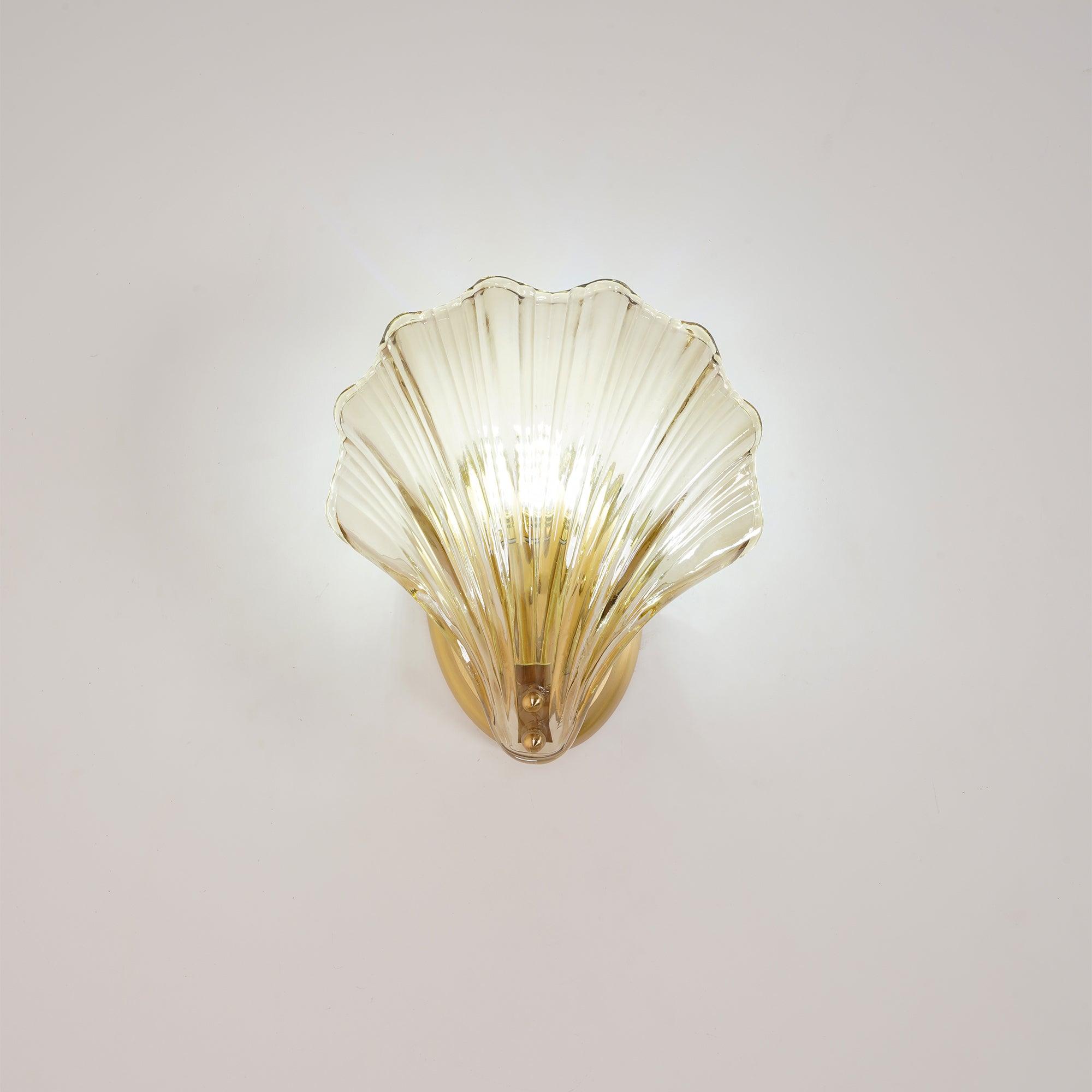 Coastal Shell Wall Light for Bedroom & Living Room | Brass Glass Nautical Wall Lamp | E14 LED or Edison Bulb | 20cm