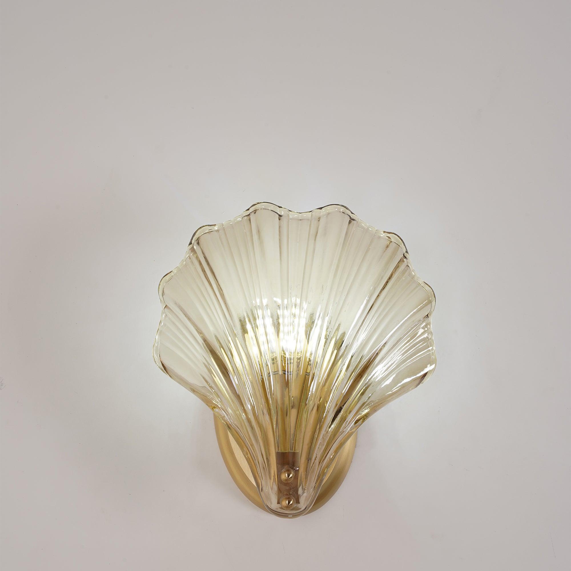 Coastal Shell Wall Light for Bedroom & Living Room | Brass Glass Nautical Wall Lamp | E14 LED or Edison Bulb | 20cm