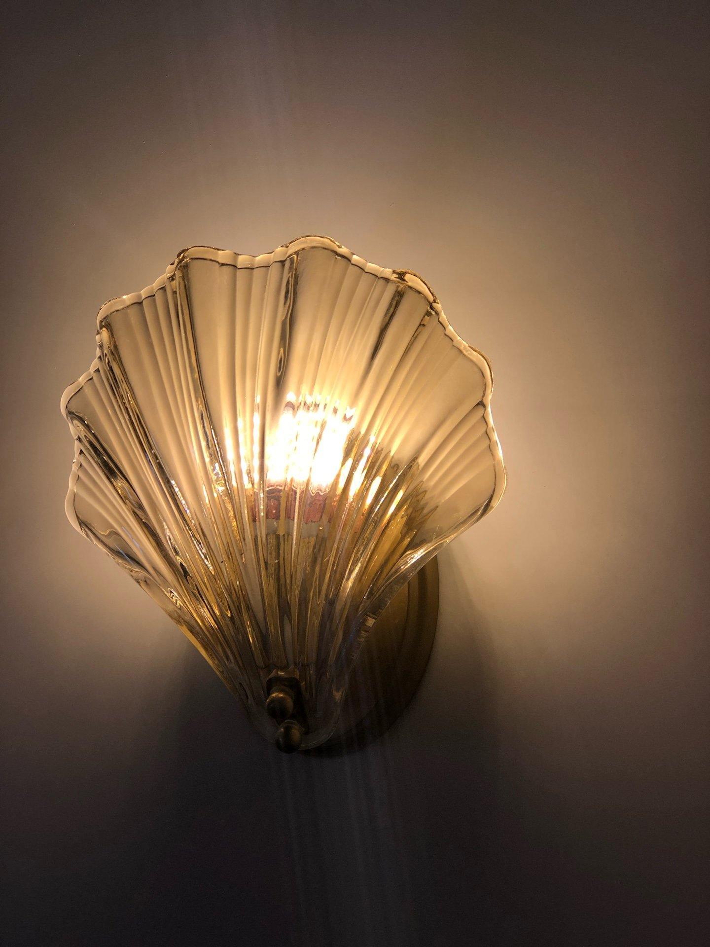 Coastal Shell Wall Light for Bedroom & Living Room | Brass Glass Nautical Wall Lamp | E14 LED or Edison Bulb | 20cm