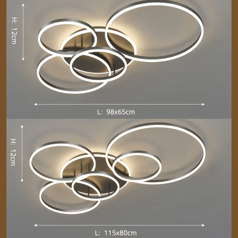 Modern Ceiling Lamp Black