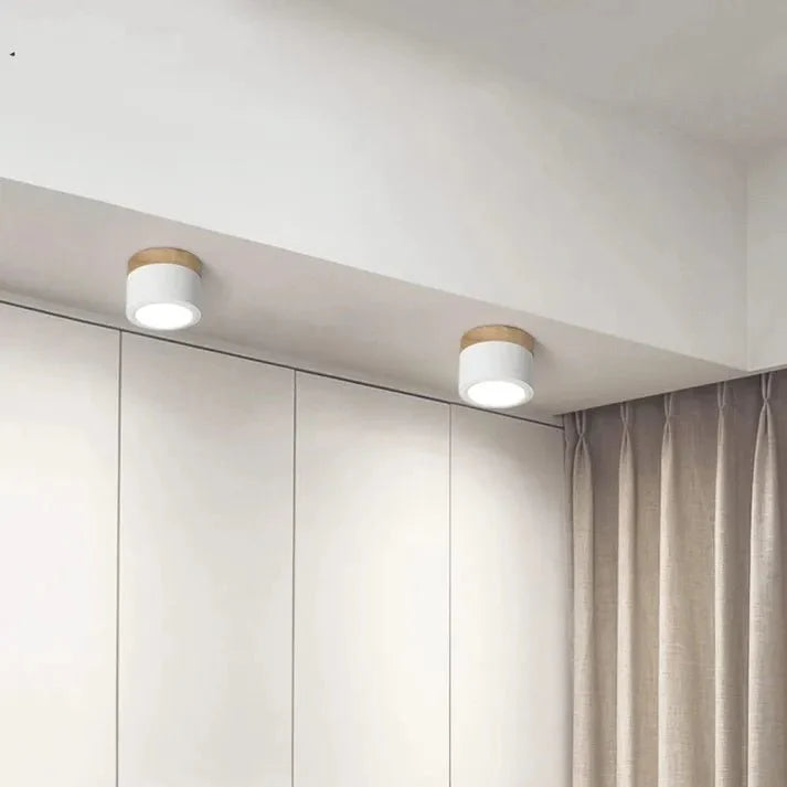 Nordic Cylinder LED Ceiling Lamps for Hallways