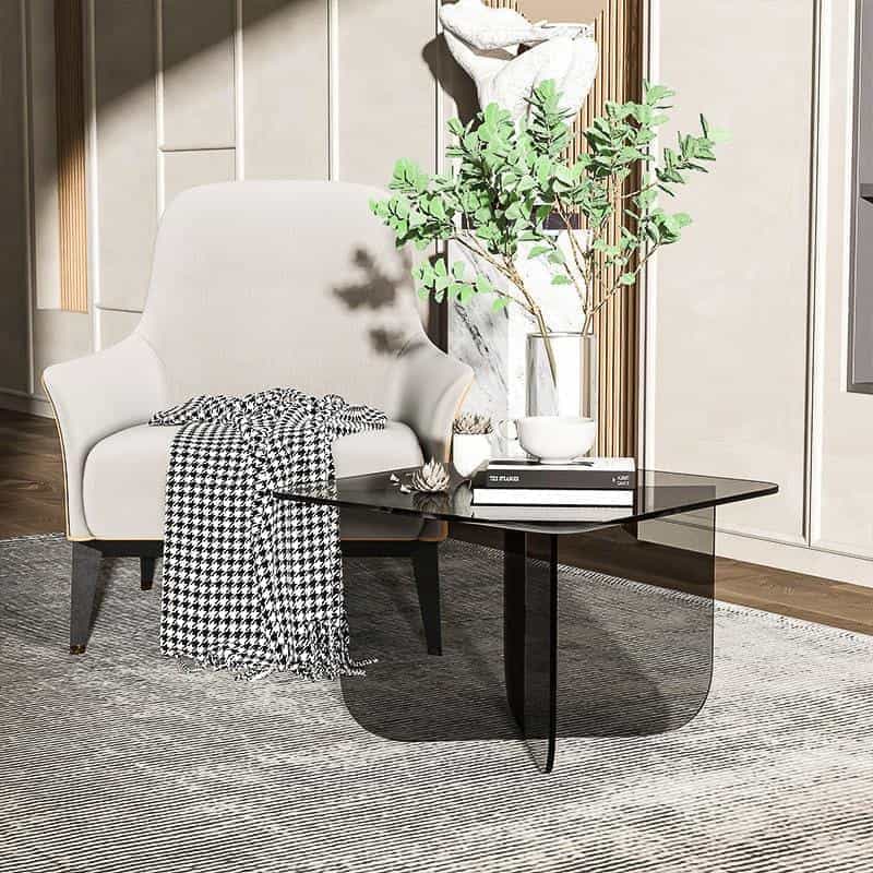 Ravelli Modern Coffee Table | Transparent Acrylic Center Table 50x40 cm | Scratch-Resistant Minimalist Living Room Table, 10mm Thick