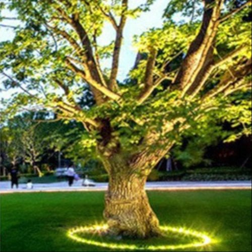 Outdoor Tree Spotlight LED Ground Light for Garden Landscaping | Warm White Ambient Lighting | Aluminum Glass Design | Pathway Patio Accent