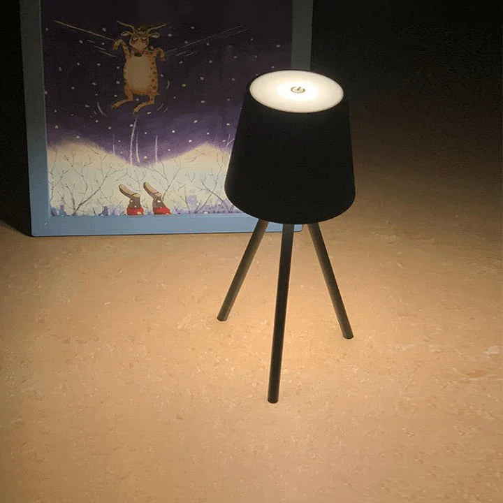 Rechargeable Table Lamp on Stand