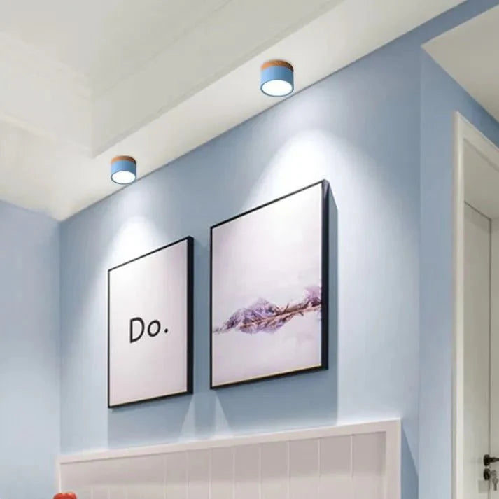 Nordic Cylinder LED Ceiling Lamps for Hallways