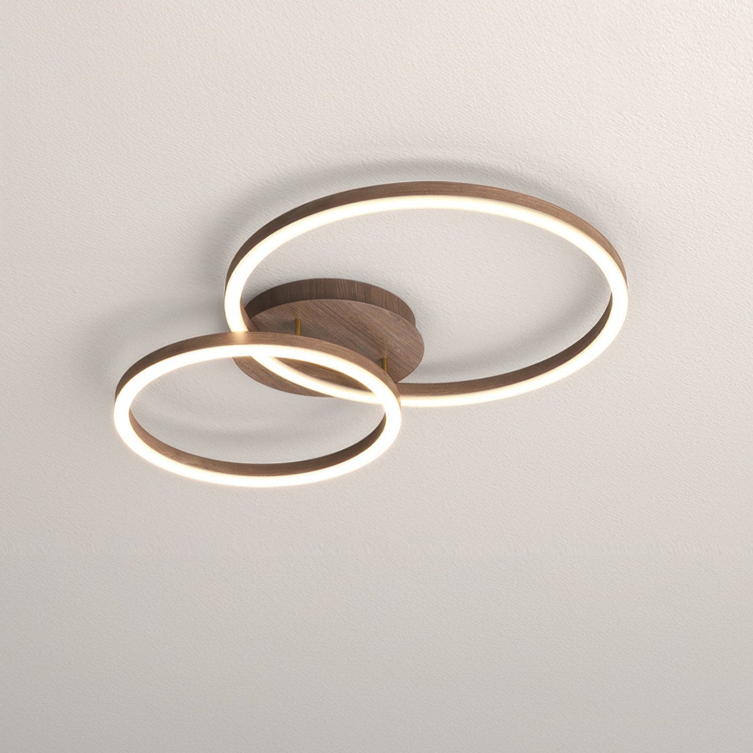 Elegant Ring Ceiling Fixture