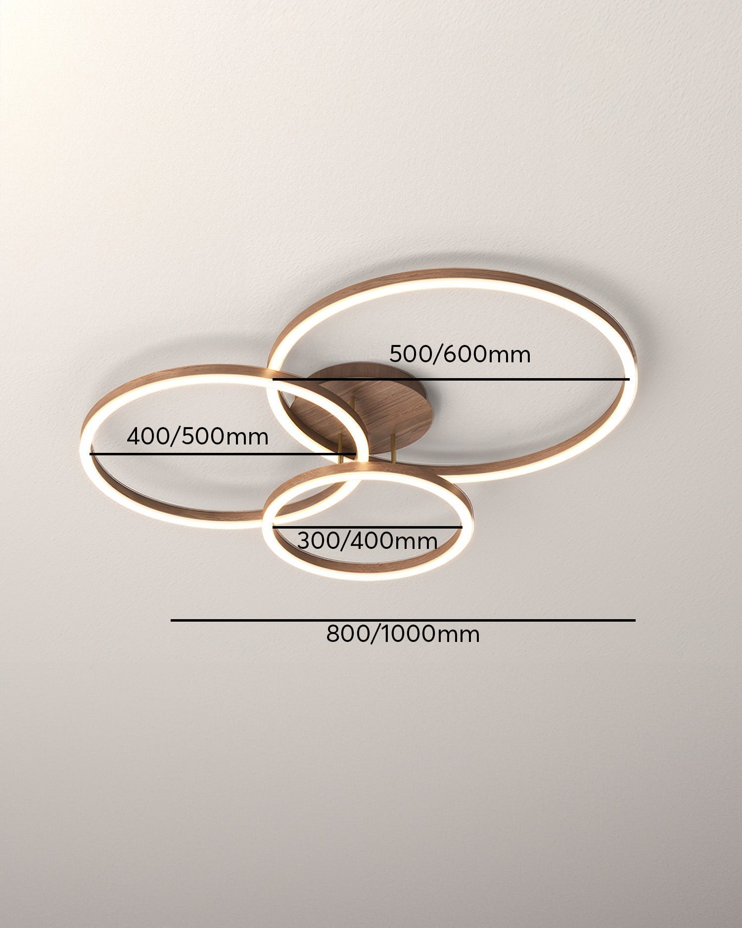 Elegant Ring Ceiling Fixture