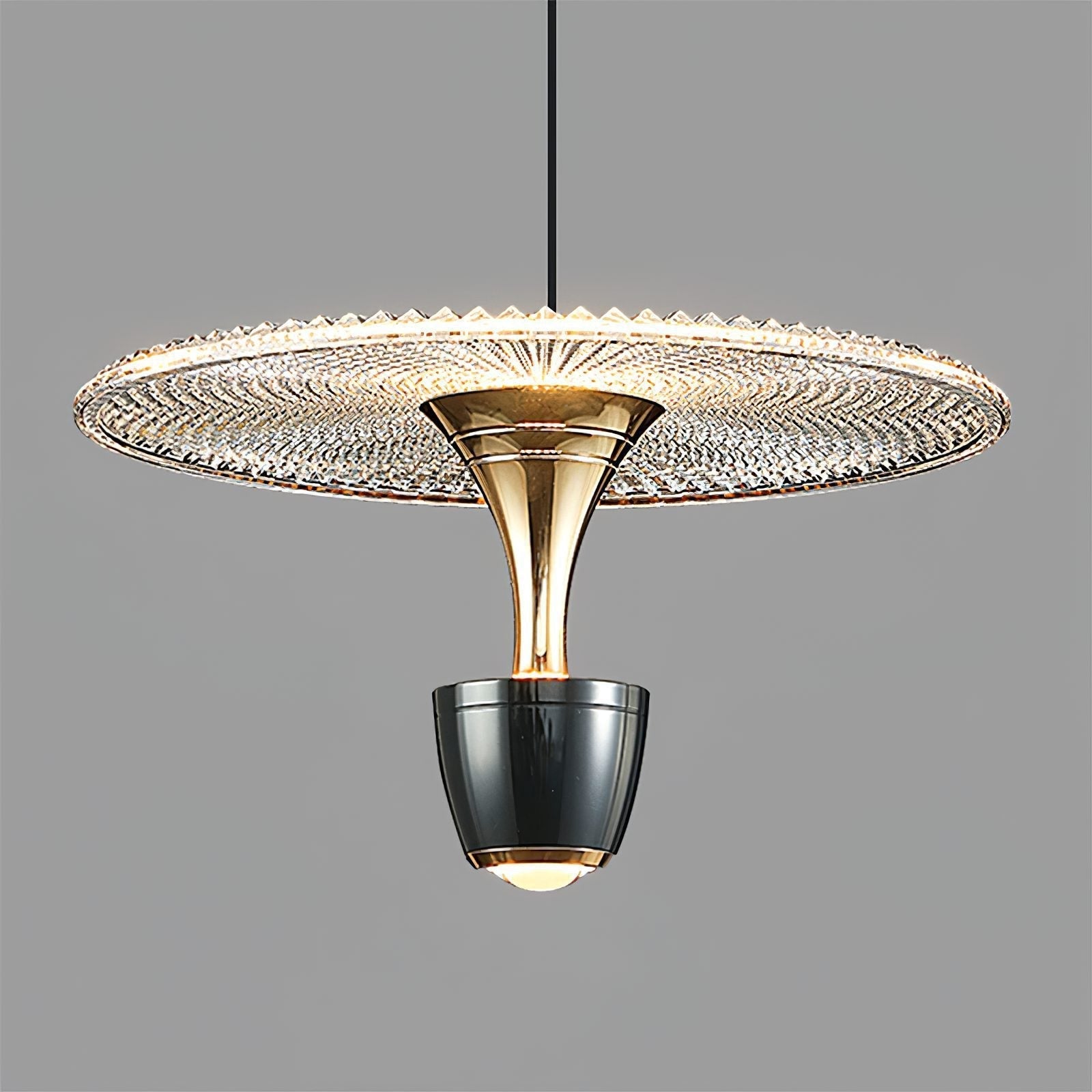 Modern LED Disc Pendant Light for Dining & Living Room | Sleek Round Design | Integrated 20W LED | Iron Aluminum Acrylic