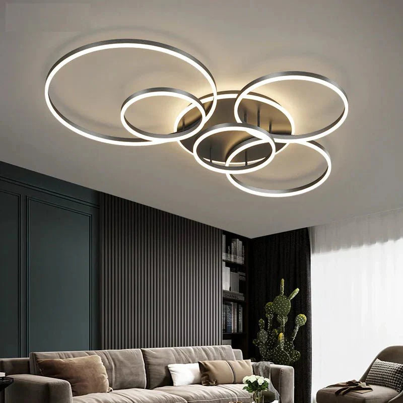 Modern Ceiling Lamp Black