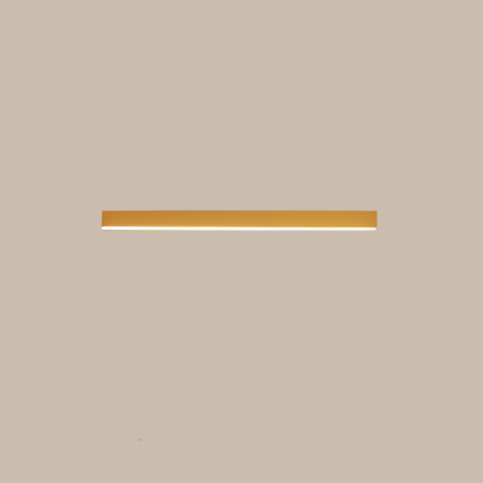 Scandinavian LED Ceiling Lamp | Modern Aluminum Light | Indoor