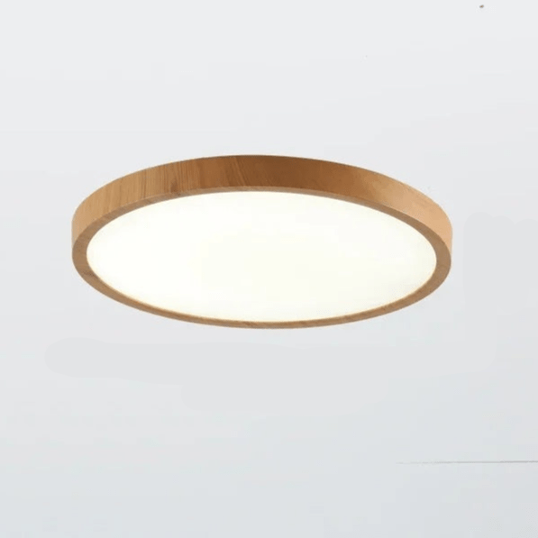 Ultrathin Round Ceiling Lamp
